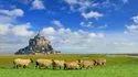 Visiting the Abbey of Mont-Saint-Michel in Normandy, France